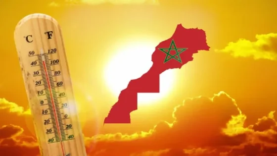 نشرة إنذارية: موجة حر تصل إلى 42 درجة بعدد من مناطق المملكة