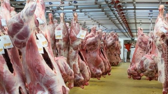 مجازر الدارالبيضاء تعلن فتح أبوابها خلال أيام العيد