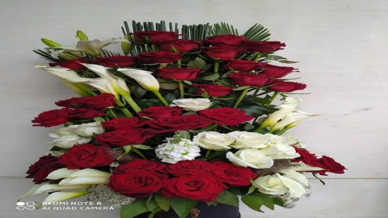 الياس اشنين وزينب عوكاشة بالقفص الذهبي