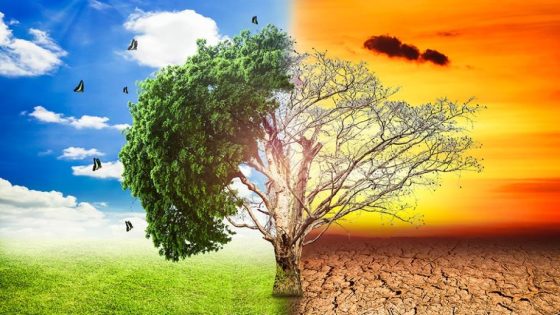 خطة لحماية العالم من مخاطر الاحتباس الحراري من طرف الأمم المتحدة
