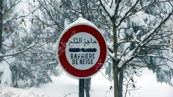 وفق نشرة إنذاريةتساقطات ثلجية مرتقبة ابتداءامن الثلاثاء إلى الأربعاء بعدد من المناطق